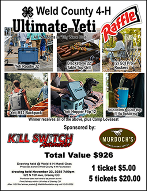 2025 foundation raffle Flyer